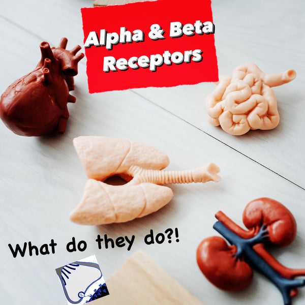 Alpha & Beta Receptors