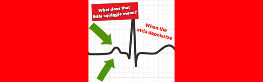 What is the P Wave? || EMS Cardiology