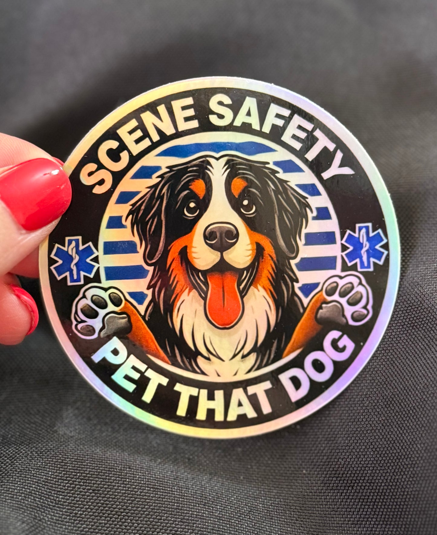 Holographic Scene Safety & PTD (Pet that Dog)